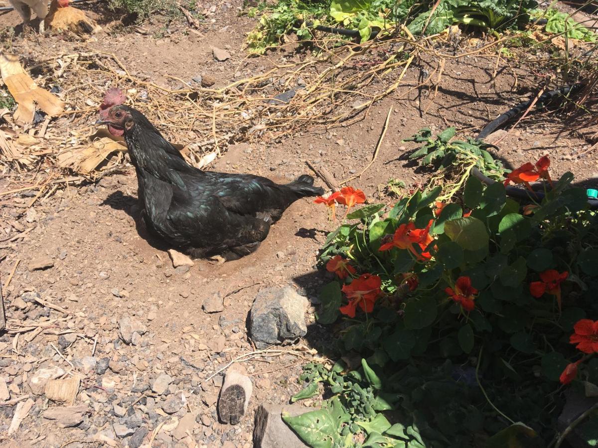Apartament Casa Madre Tierra La Pared  Zewnętrze zdjęcie